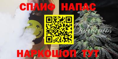 МДПВ Вязьма