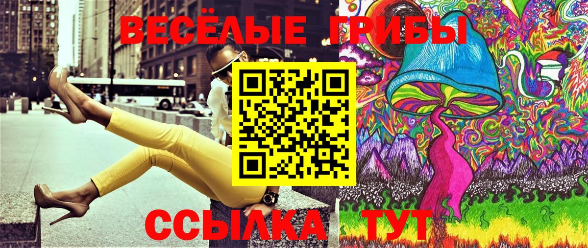 Псилоцибиновые грибы Psilocybine cubensis  Вход с VPN  Юрга 